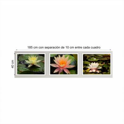 SET 3 CUADROS ZEN FLORES LOTO MEDIANOS